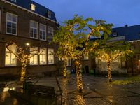 boomverlichting uni Maastricht